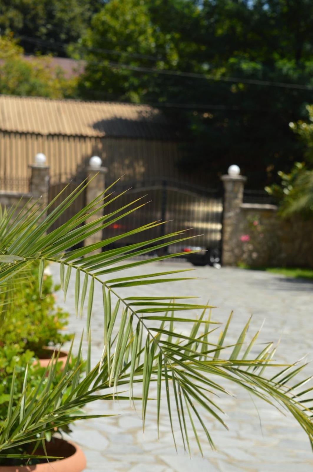 Boutique Hotel Argo Kutaisi Zewnętrze zdjęcie