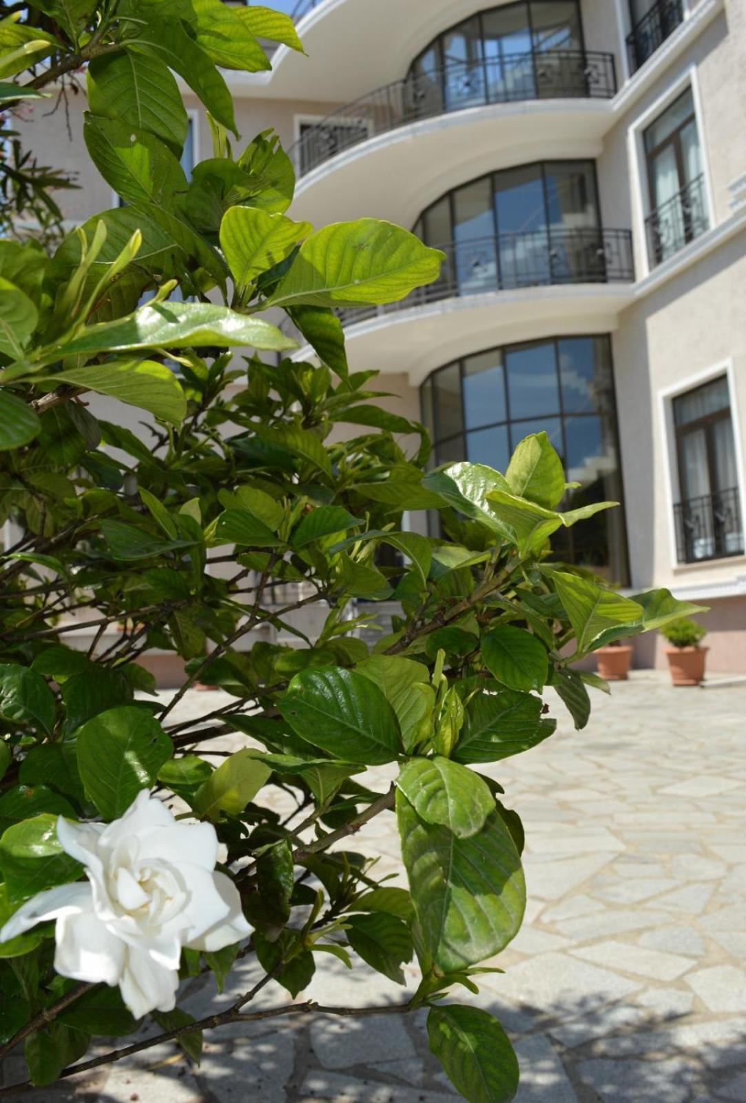 Boutique Hotel Argo Kutaisi Zewnętrze zdjęcie